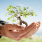Image Personal development